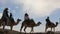 Camels Caravan silhouette