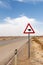 Camels Crossing - Arava Desert - Israel