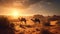 Camels in a desert environment with beautiful light conditions
