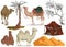 Camels in different poses, sand dune of desert, nomad tent, dried and palm tree. Collection scenery design elements. Isolated obje