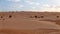 Camels among the dunes in the Sahara Desert