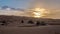 Camels among the dunes in the Sahara Desert at sunset