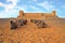 Camels in the Erg Shebbi desert in Morocco