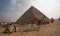 Camels in front of Giza pyramids, Egypt