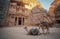 Camels in front of the historic Petra Wadi in Jordan