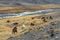 Camels herd graze mountains