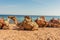 Camels laying on Red sea beach in the Gulf of Aqaba. Dahab, Egypt