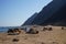 Camels lie on the shores of the Red Sea in the Gulf of Aqaba. Dahab, South Sinai Governorate, Egypt