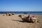 Camels lie on the shores of the Red Sea in the Gulf of Aqaba. Dahab, South Sinai Governorate, Egypt