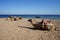 Camels lie on the shores of the Red Sea in the Gulf of Aqaba. Dahab, South Sinai Governorate, Egypt