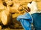 Camels at the Local cattle market in Agades, Air, Niger