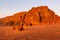 Camels lying down, desert sunset, Wadi Rum, Jordan