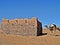 Camels in the moroccan sahara desert