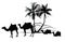 camels and palm tree