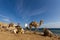 Camels \'parked\' on the beach at the Blue Hole, Dahab