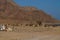 Camels parked on the beach near the Blue Hole, Dahab