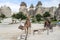 Camels in Pasabag Valley, Cappadocia, Turkey