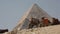 Camels Pass By Egyptian Pyramid Slow Motion
