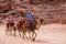 Camels Petra Jordan