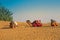 Camels rest after reaching the oasis