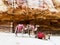 Camels resting on sand near mountain Petra City Jordan