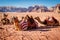 Camels resting in Wadi Rum dessert in Jordan