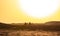 Camels riding in Lehbab desert on sunset Dubai  UAE