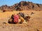 Camels seating against a mounting background