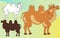 Camels set: colored, cute, silhouette.