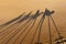 Camels shadows over Erg Chebbi at Morocco