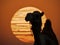 Camels silhouette stands in front of