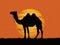 Camels silhouette stands in front of