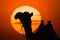 Camels silhouette stands in front of