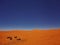 Camels sleep under the starry sky in sahara desert
