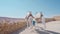 Camels stand near the stone fence, Egypt. Action. Concept of travelling, beautiful animals on the sand desert and blue