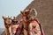 Camels standing side by side in front of a majestic pyramid in Egypt