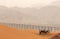 Camels in Tennger desert, Shapotou scenic area, Ningxia, china