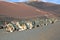 Camels in the Timanfaya National Park in Lanzarote