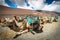 Camels in Timanfaya National Park waiting for tourists, Lanzarote, Canary Islands, Spain