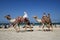 Camels, tourists, beach Dubai