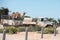 Camels on a truck at shark bay australia