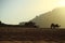 Camels in Wadi Rum desert, Hashemite Kingdom of Jordan