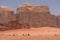 Camels in Wadi Rum desert, Jordan