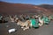 Camels waiting for tourists, Lanzarote