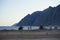 Camels walk along the Red Sea in the Gulf of Aqaba. Dahab, South Sinai Governorate, Egypt