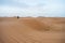 Camels walking on sand dunes during sunset in Erg Chebbi desert, near Merzouga, Sahara Desert.