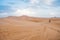 Camels walking on sand dunes during sunset in Erg Chebbi desert, near Merzouga, Sahara Desert