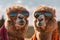 Camels Wearing Costume Glasses Image. Generative AI