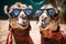 Camels Wearing Costume Glasses Image. Generative AI