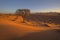 Camelthorn tree and patterns in the sand on the dune